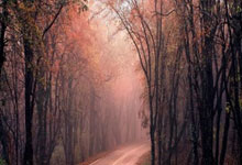 黑白体育官网：欧联：英格兰曼彻斯特联队2比1险胜苏格兰流浪者队.