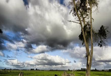 东体：决定中超、中国足球在亚洲足坛地位的只有且只能是实力.