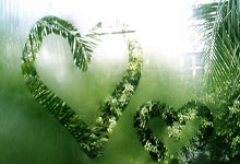 黑白体育官网：4强出炉！中国斯诺克全军覆没，肖国栋5-2被逆转.