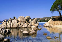 [田径]文晓燕打破女子跳远T37级世界纪录央视网.